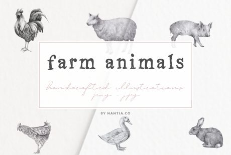 Farm Animals Illustration Pack