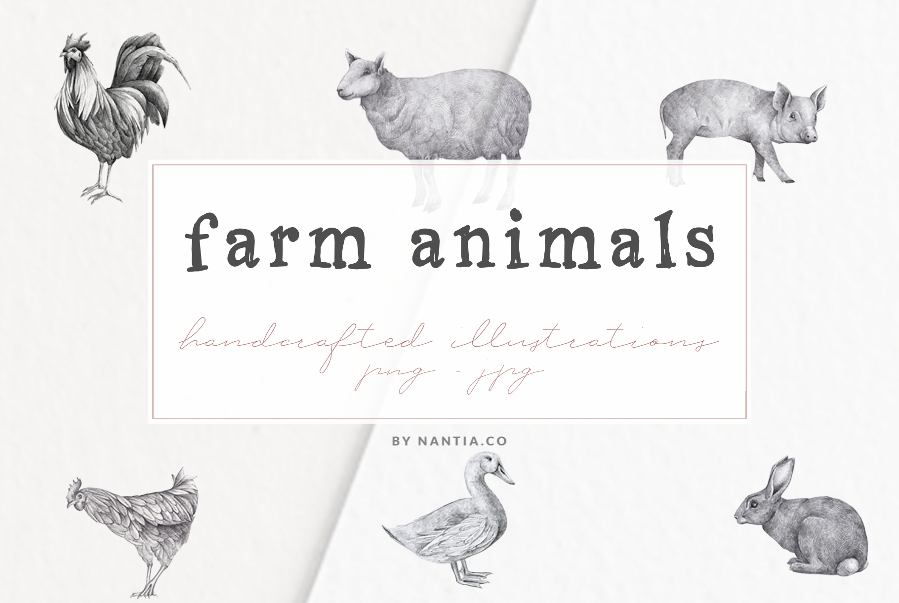 Farm Animals Illustration Pack · Buy now Illustrations by 