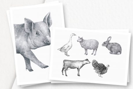 Farm Animals Illustration Pack