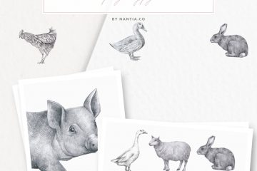 Farm Animals Illustration Pack