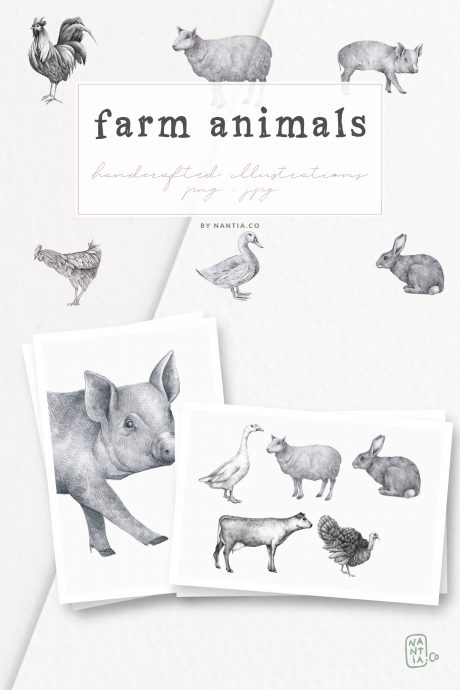 Farm Animals Illustration Pack