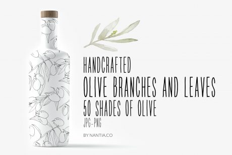 Olive branches and leaves illustrations MegaPack