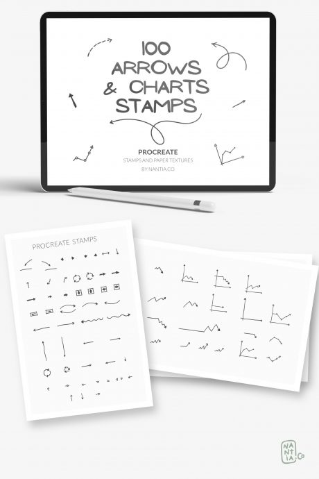 100 Arrow Procreate Stamp Brushes