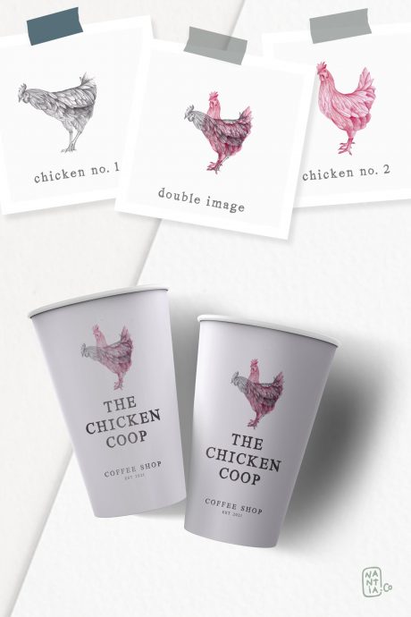 Hand drawn Chicken Illustrations