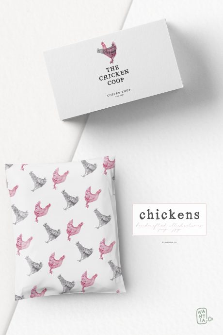 Hand drawn Chicken Illustrations