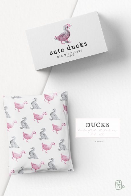 Hand drawn Ducks Illustrations