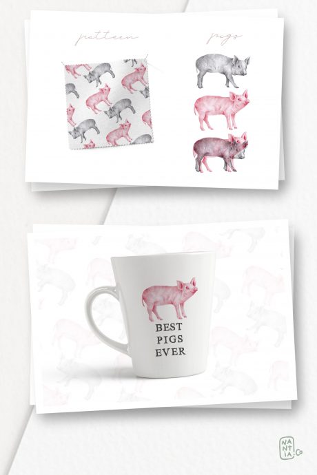 Hand drawn Pigs Illustrations