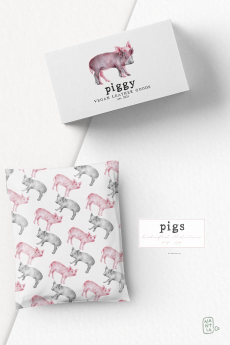 Hand drawn Pigs Illustrations