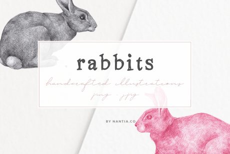 Hand drawn Rabbits Illustrations