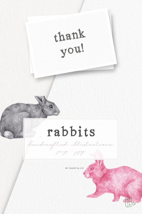 Hand drawn Rabbits Illustrations