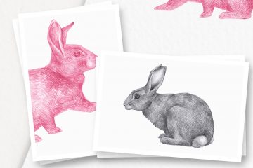 Hand drawn Rabbits Illustrations