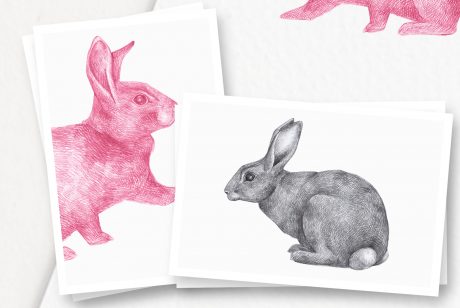 Hand drawn Rabbits Illustrations