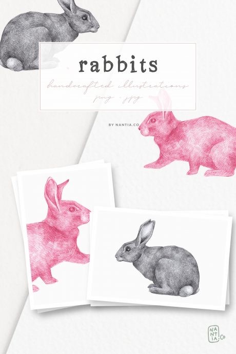 Hand drawn Rabbits Illustrations