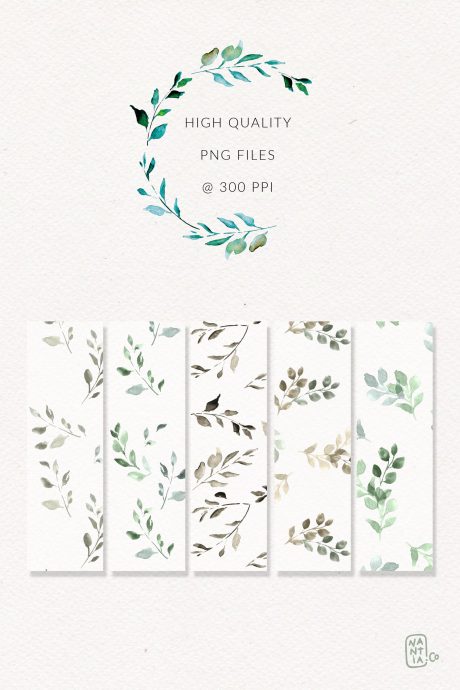 Watercolor Foliage Design Set