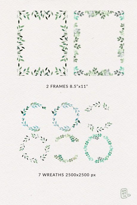 Watercolor Foliage Design Set