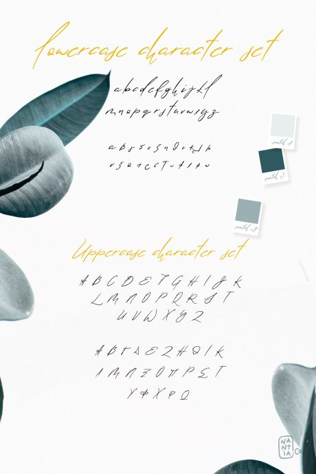 Lolotte Multilingual Signature Font