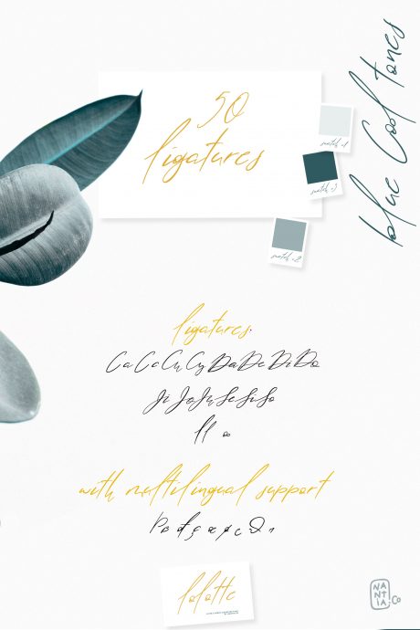 Lolotte Multilingual Signature Font