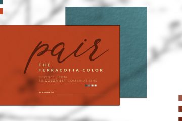 Terracotta Color Palette collection