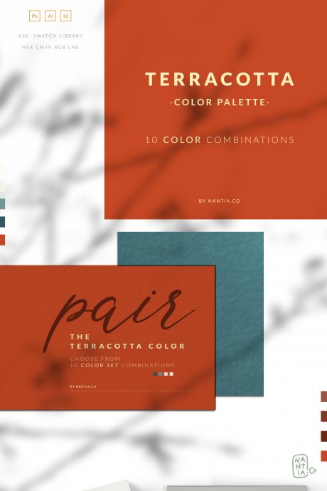 Terracotta Color Palette collection