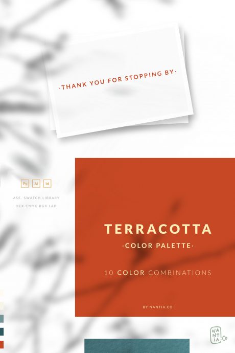 Terracotta Color Palette collection