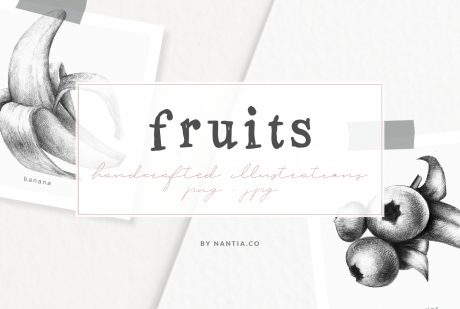Handdrawn Fruit Illustrations
