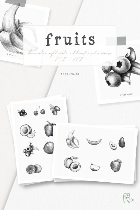 Handdrawn Fruit Illustrations