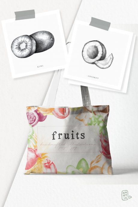 Handdrawn Fruit Illustrations