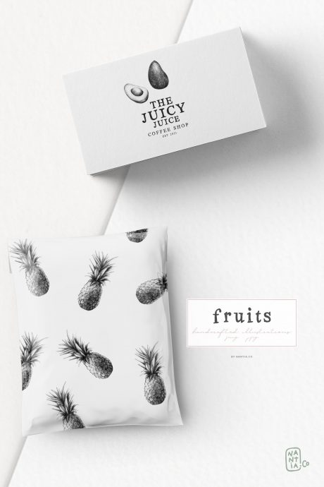 Handdrawn Fruit Illustrations