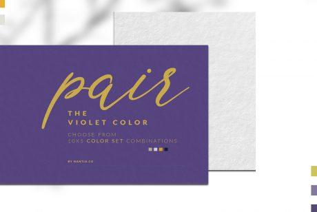 Violet Color Palette collection
