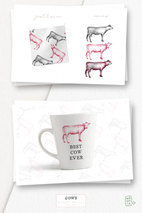 Hand drawn Cow Illustrations