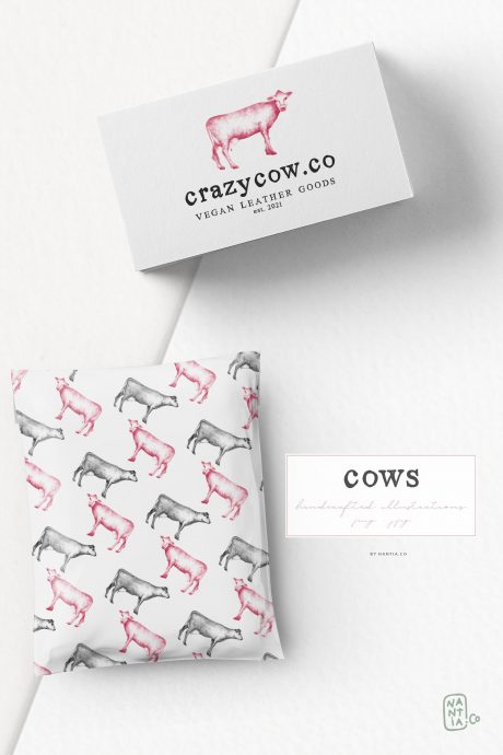 Hand drawn Cow Illustrations